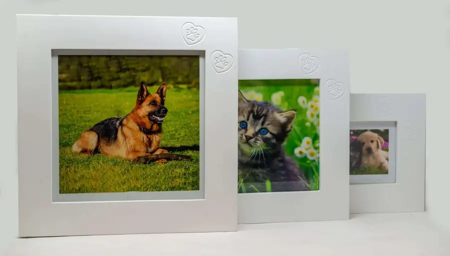Urne portafoto bianche per animali da compagnia
